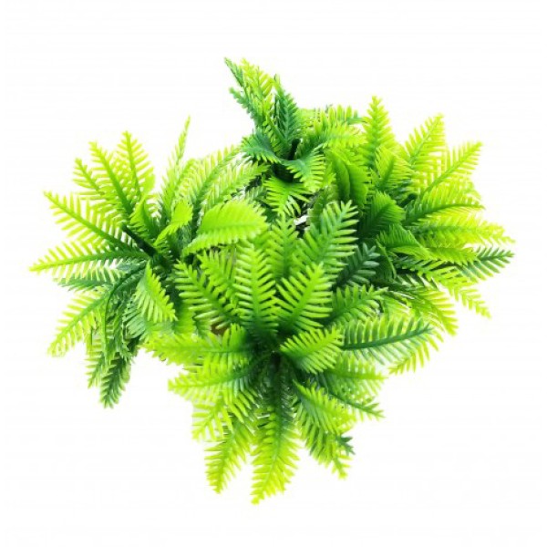 ΔΙΑΚΟΣΜΗΤΙΚΟ ΦΥΤΟ ΕΝΥΔΡΕΙΟΥ